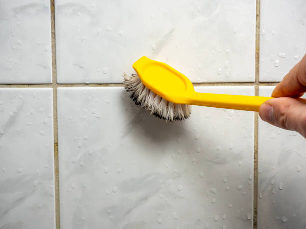 Best Residential Mold Removal  in Ferndale, CA