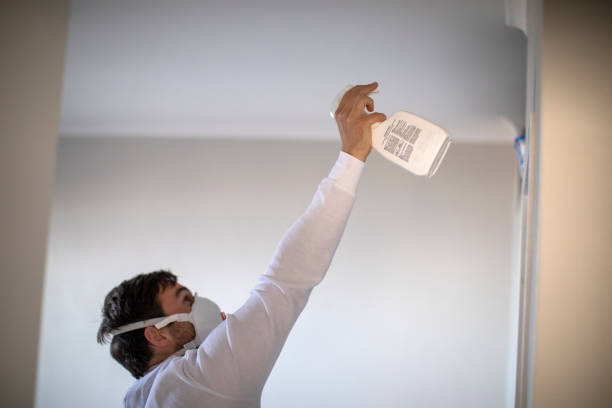 Best Crawl Space Mold Removal  in Ferndale, CA