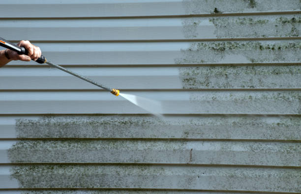 Best Water Damage Restoration  in Ferndale, CA