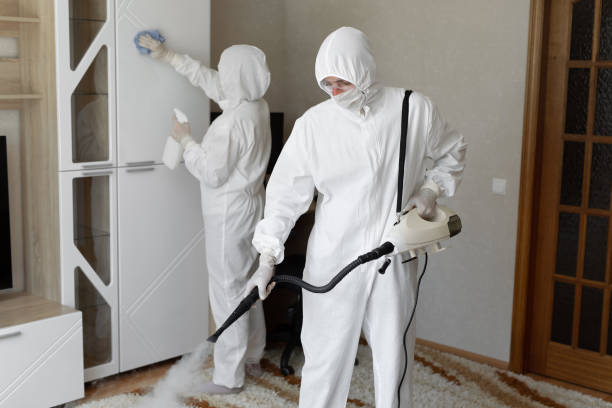 Best Fast Mold Removal  in Ferndale, CA