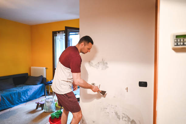 Best Toxic Mold Removal  in Ferndale, CA